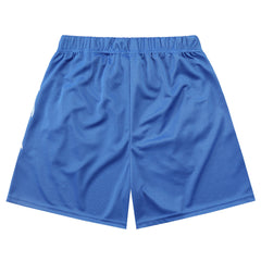 MIXED EMOTION Mesh Shorts