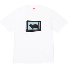 Supreme 25SS Damien Hirst Tee